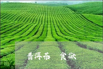 普洱茶 食欲/2023042847203